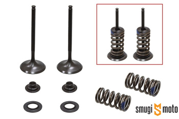 Zawory ssące ze sprężynami Psychic, Kawasaki KX 250F '04-16, Suzuki RM-Z 250 '04-06