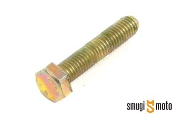 Śruba mocująca korpus wtryskiwacza paliwa / gumy pompy wody, Peugeot 50cc 2T (1 szt.)