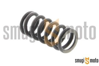 Sprężyna dociskowa sprzęgła, Aprilia RS4 125, Derbi 4T 125: GPR '09-, Terra, Mulhacen, Senda DRD 4T (1 szt.)