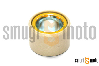 Rolka wariatora, 25x17, 25g, Piaggio MP3 500 - 530 HPE '21- (1 szt)