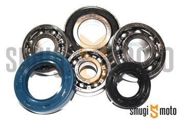 Łożyska i uszczelniacze przekładni, Peugeot stojący