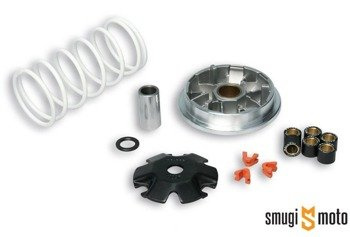 Wariator Malossi Multivar 2000, Peugeot Speedfight 3 / Tweet, SYM Symphony... 50cc 4T