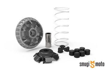 Wariator Malossi Multivar 2000, Quadro Quadro3 350 Euro3 '16- (T69N)