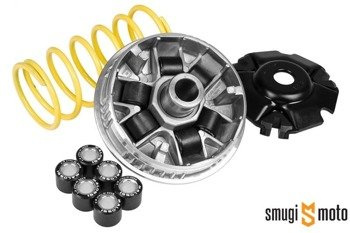 Wariator Malossi Multivar 2000, Aprilia Leonardo / Scarabeo (Rotax) 125-150 4T LC