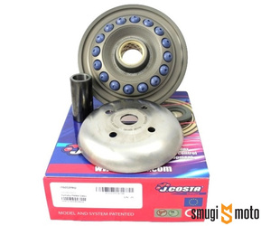 Wariator J.Costa Pro, Piaggio (Quasar) 300 4T