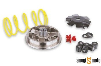 Wariator Malossi Multivar ATV-QUAD, Suzuki LT 80 Quadsport