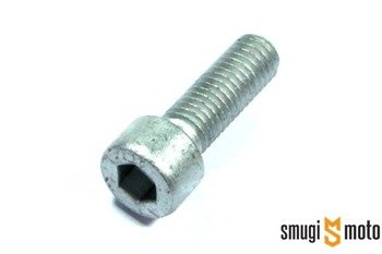Śruba zacisku hamulcowego Piaggio, M8x25, np. tylny zacisk X9 125