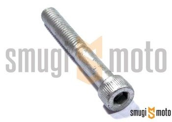 Śruba rolki łańcucha napędowego / mocująca handbar, Derbi Senda (M8x55)