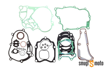 Uszczelki silnika, Piaggio 300 (Quasar) '08-16