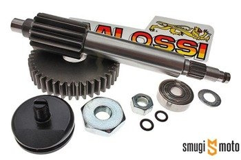 Przekładnia pierwotna Malossi 14/42z z dodatkowym mocowaniem łożyska, Minarelli długie