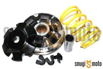 Wariator Malossi Multivar 2000, Minarelli 100