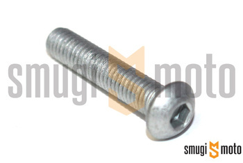 Śruba tarczy hamulcowej M6x30, Aprilia 300-850 / Derbi Rambla 125-300 / Gilera 125-800 / Piaggio 125-500 / Vespa 125-300