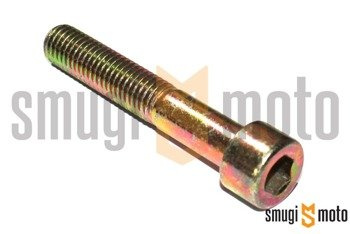 Śruba mocująca zacisk hamulcowy, przedni, Arpilia / Derbi (M10x60)