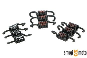 Sprężynki sprzęgła Stage6, Peugeot 3G