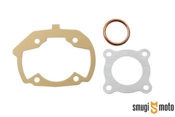 Uszczelki cylindra Top Performances Iron Sport 50cc, Peugeot leżący AC