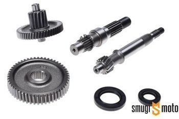 Przekładnia kompletna WM, 16z, GY6 50cc / 139QMB