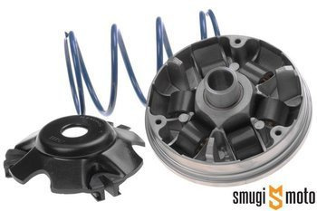 Wariator Malossi Multivar 2000, Peugeot 100 -09/1999