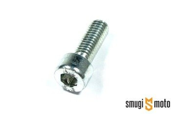 Śruba jarzma zacisku hamulcowego Piaggio, M8x22, np. tylny zacisk X9 125
