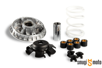 Wariator Malossi Multivar 2000, SYM Citycom, Joymax, GTS Evo I 250-300 4T / TGB X Motion 250 4T