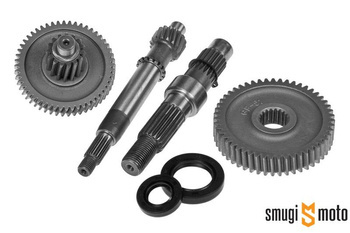 Przekładnia kompletna Eco V 16/52 - 15/51, GY6 50 4T (139QMB / 139QMA)