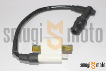 Cewka zapłonowa, Aprilia SXR 50 '21-