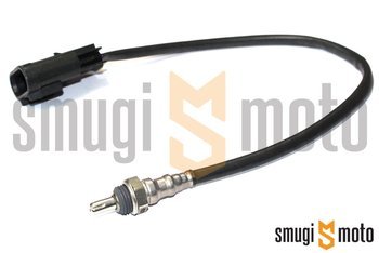 Sonda lambda, Aprilia / Ducati /  Piaggio / Vespa 125