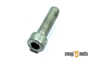 Śruba M8x30mm (np. koło, wydech, zacisk hamulca), Aprilia / Derbi / Gilera / Piaggio / Vespa